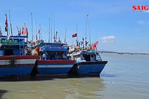 Fishing trip digitization aids Vietnam's push to lift IUU yellow card