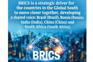 Vietnam proactively expands cooperation through BRICS