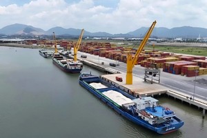 Business Partner City delegates visit eco-industrial park in Ho Chi Minh City