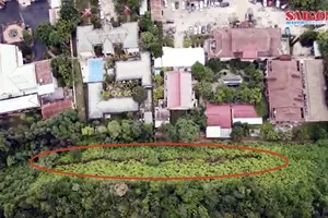 Quả đồi phía sau Trung tâm hành chính huyện Nam Trà My xuất hiện vết nứt dài. Ảnh: NGUYỄN CƯỜNG