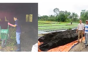 Mô hình sản  xuất nông nghiệp  không phát thải