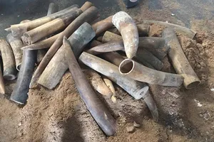 Tang vật cơ quan  công an thu giữ