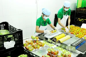 Đóng gói bao bì nhãn hàng riêng rau củ quả Co.op         Ảnh: CAO THĂNG