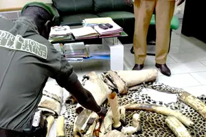 Kiểm soát chặt chẽ buôn bán ngà voi sẽ giúp  loài động vật hoang dã này tránh được nguy cơ tuyệt chủng