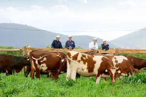 Nông nghiệp hữu cơ không nên phát triển tràn lan