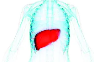 Phát hiện protein mới chống ung thư gan