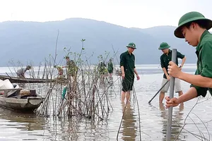 Người dân và bộ đội biên phòng Thừa Thiên- Huế trồng ngập mặn nơi bờ biển sạt lở