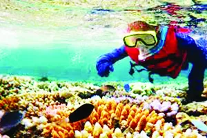 Australia bảo tồn rạn san hô lớn nhất thế giới