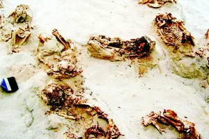 Phát hiện mộ cổ trẻ em ở Peru