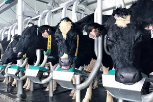 Vinamilk sản xuất sữa A2 đầu tiên tại Việt Nam