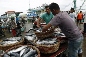 Một chợ cá ở Lampulo, Aceh, Indonesia. EPA/TTXVN