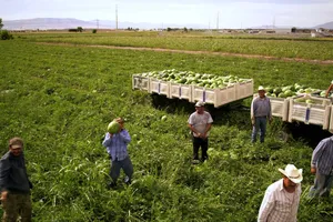 Chính phủ Mỹ vừa quyết định hỗ trợ 12 tỷ USD cho nông dân chịu ảnh hưởng  từ các biện pháp trả đũa của các đối tác nước ngoài