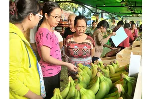 Doanh nghiệp chưa nâng cao được chuỗi giá trị sản phẩm do quy mô nhỏ  và chưa đủ tiềm lực.  Ảnh: CAO THĂNG