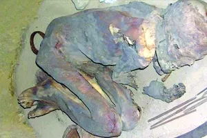 Người Ai Cập đã biết ướp xác cách đây hơn 5.000 năm