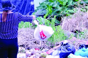 Nhiều nơi biến thành bãi rác tự phát. Ảnh: THÀNH TRÍ