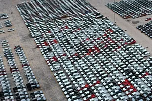 Ô tô tại một kho bãi chuẩn bị cung ứng cho khách hàng ở TPHCM.  Ảnh: THÀNH TRÍ