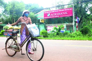 Chở quà về nhà