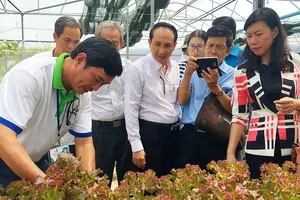 Sản xuất nông sản an toàn tại một trang trại