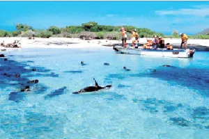 Cấm bắn pháo hoa để bảo vệ môi trường