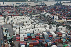 Thời gian kiểm tra chuyên ngành giúp doanh nghiệp ít tốn chi phí kho bãi, giải phóng hàng nhanh  Ảnh: THÀNH TRÍ