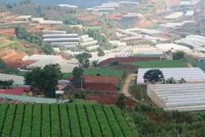  TP Đà Lạt xây dựng thí điểm “Làng đô thị xanh” tại xã Xuân Thọ