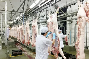 Cảnh báo thiếu nguồn cung thịt heo cuối năm