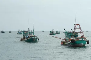 Khởi tố hình sự những vụ việc điển hình  về khai thác hải sản trái phép 