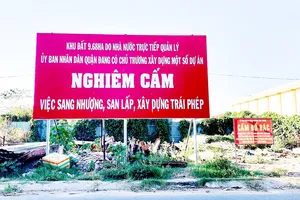 Pano của UBND phường Linh Trung (quận Thủ Đức)  cảnh báo tình trạng phân lô bán nền trái phép. Ảnh: NGUYỄN SINH 