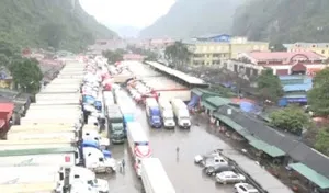 500 xe trái cây ùn ứ tại Lạng Sơn