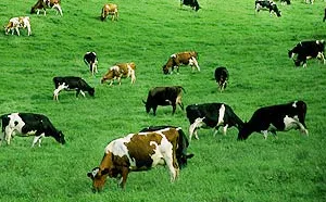 Giảm phát thải trong nông nghiệp