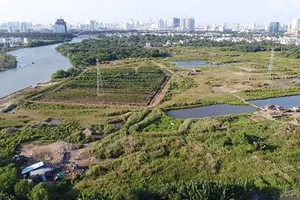 Bắt 2 nguyên lãnh đạo Công ty Tân Thuận