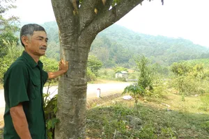 Ông Khoa hiến đất cho quỹ phòng chống dịch Covid-19