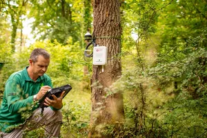 Giám sát rừng bằng IoT            