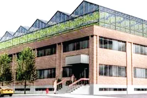 Vườn rau khổng lồ trên mái nhà