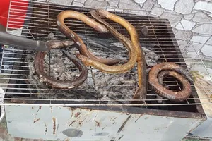 Lịch củ U Minh nướng mọi