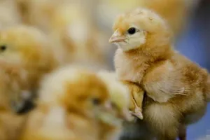 Ảnh minh họa: REUTERS