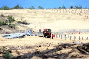 Dự án Nhà máy điện Mặt trời Phù Mỹ 3  san phẳng nhiều hécta rừng phòng hộ ven biển