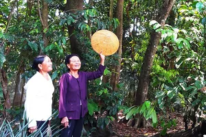 Những người giữ rừng đặc biệt