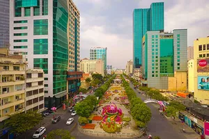 TPHCM: Không bắn pháo hoa giao thừa Tết Nhâm Dần 2022