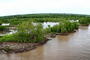 Hàng trăm ngàn hecta bãi triều biến mất 