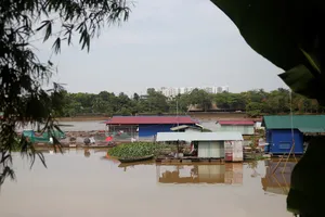 Bình yên làng cá Tân Mai