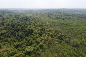 Khu dự trữ sinh quyển thế giới Đồng Nai 