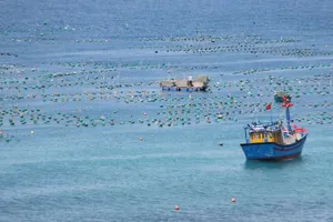 Báo động nạn xâm hại san hô