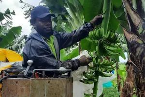 Dùng công nghệ GPS để bảo vệ rạn san hô