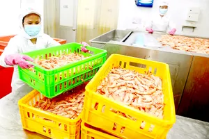 Xuất khẩu nông sản, thực phẩm chế biến: Nắm bắt thời cơ vàng 