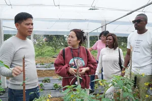 Mozambique tham quan, học hỏi kinh nghiệm phát triển hợp tác xã tại Việt Nam