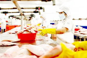 HCMC holds dialogue to address exporters’ banking-related challenges