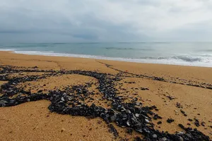 Dầu vón cục kéo dài hàng trăm mét ở bãi biển Tuy Hòa, Phú Yên