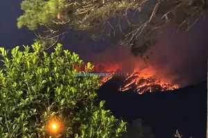 Xử lý nghiêm vì môi trường chung