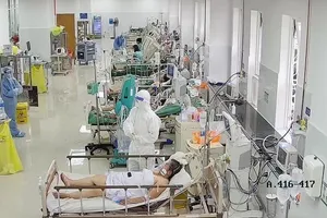 Chuẩn bị các phương án điều trị cao nhất, cho ra viện sớm bệnh nhân không triệu chứng